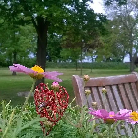 Zum Engel Affittacamere Magdeburgo