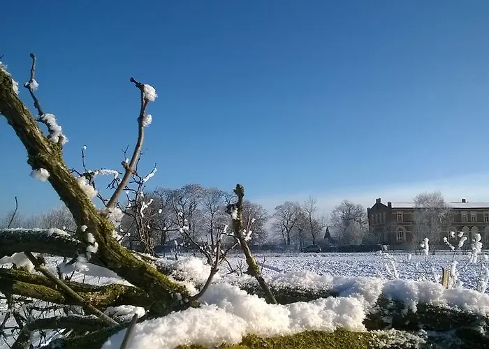 Zum Engel Affittacamere