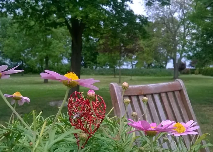 Zum Engel Affittacamere Magdeburgo